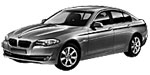 BMW F10 P2952 Fault Code
